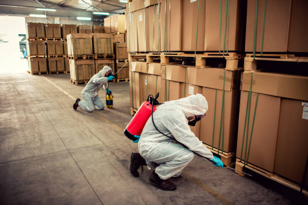 Best Ant Control Services  in Pennington, NJ