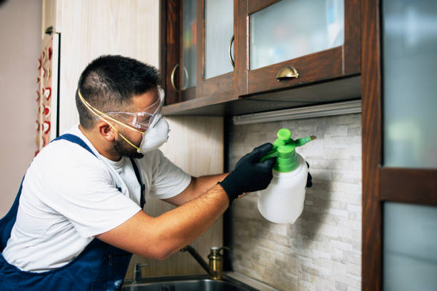 Best Best Pest Control Companies  in Pennington, NJ