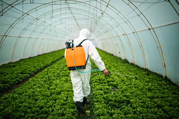 Best Affordable Pest Control Services  in Pennington, NJ