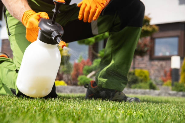 Best Wasp Removal Services  in Pennington, NJ