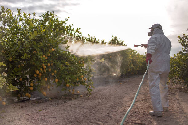Best Bed Bug Extermination  in Pennington, NJ