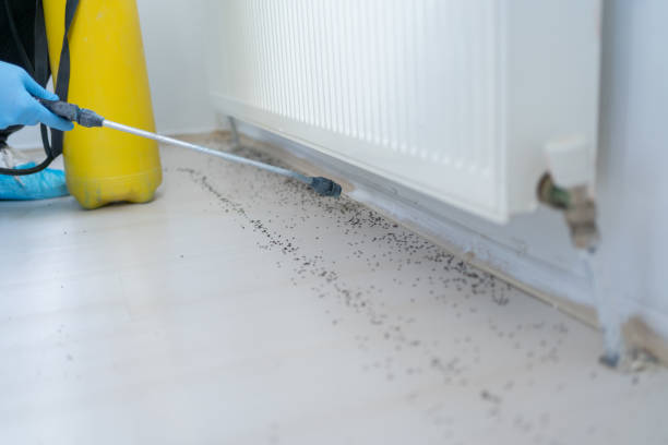 Best Best Pest Control Companies  in Pennington, NJ